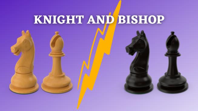 White Knight Black Knight White Bishop Black Bishop in Chess